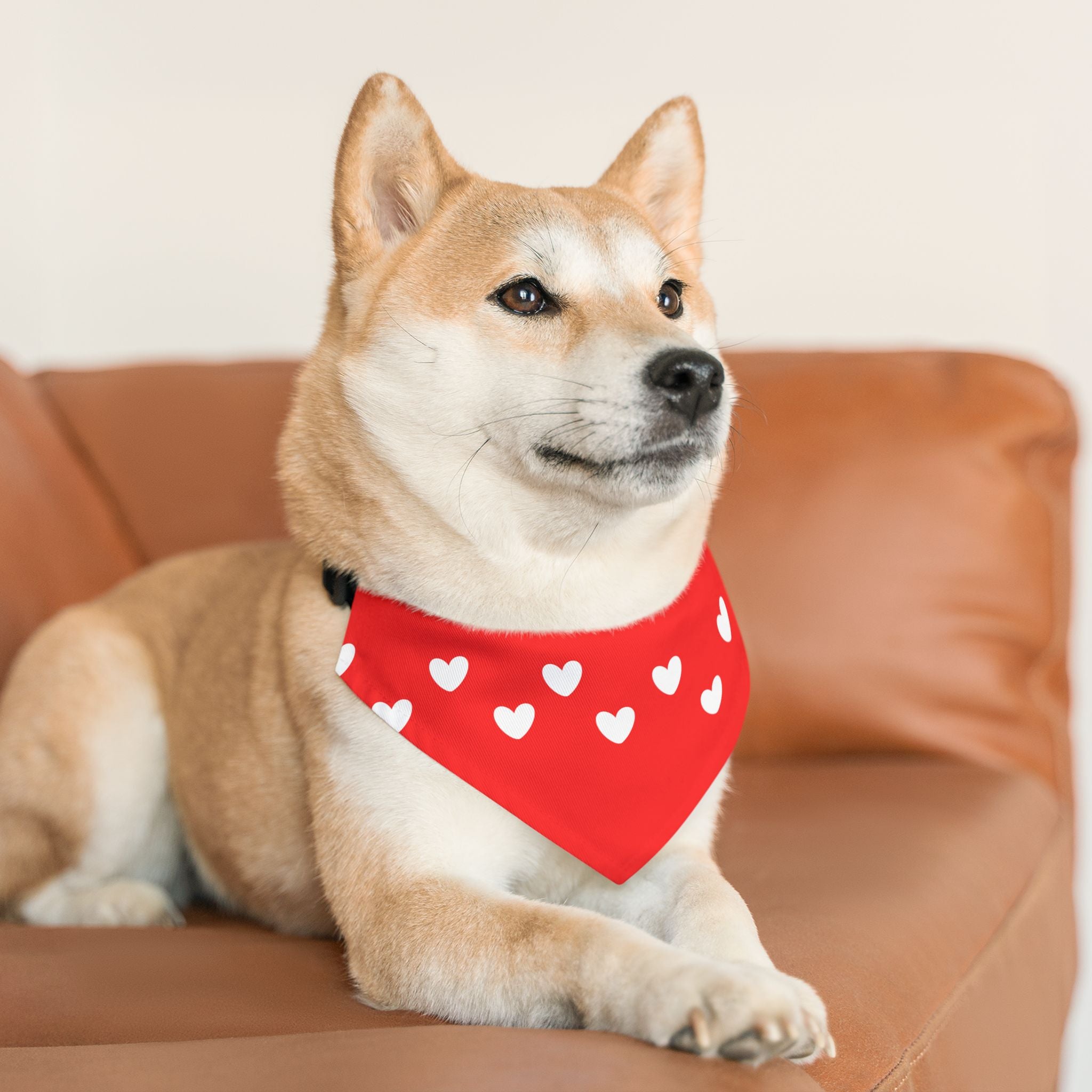 Pet Heart Bandana Collar