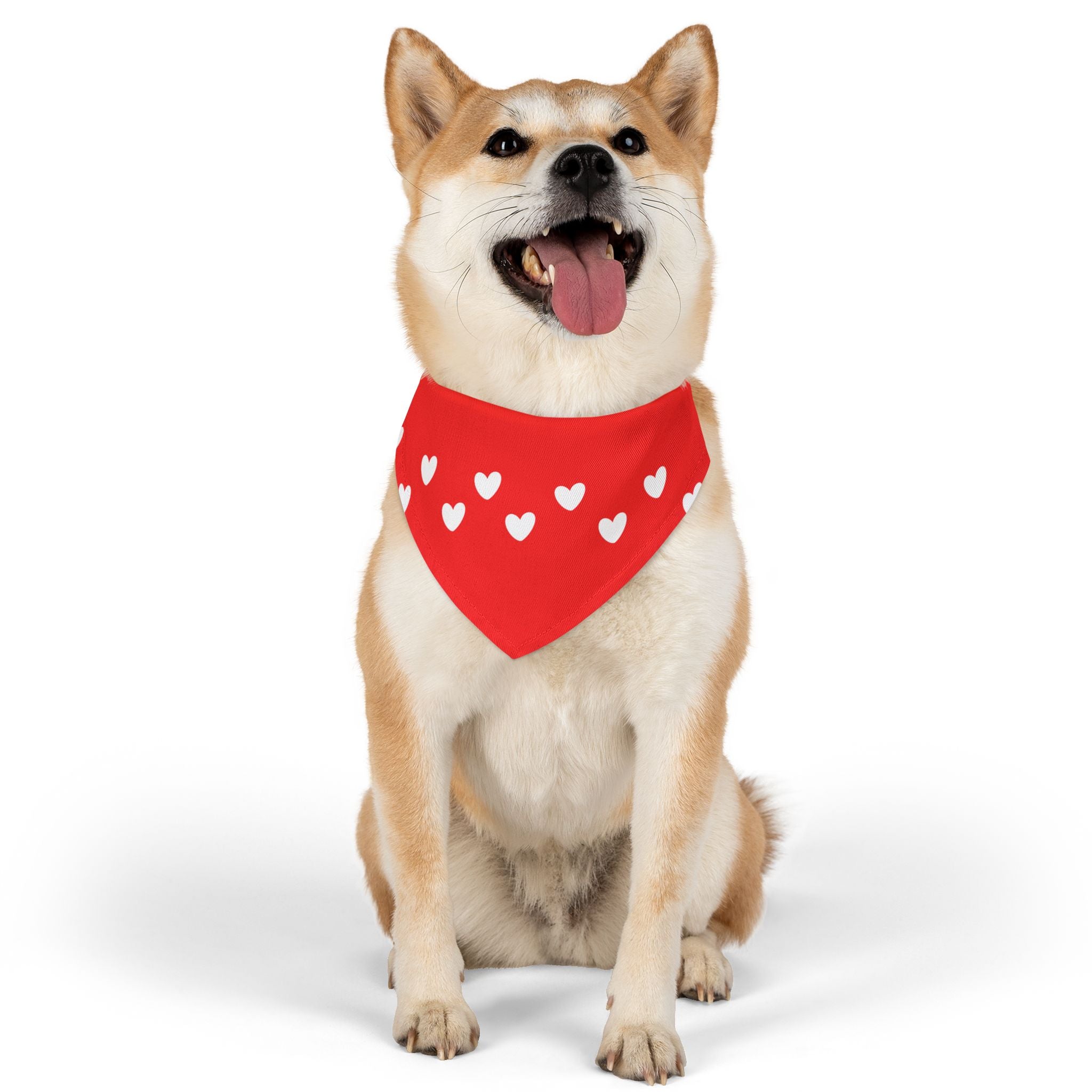 Pet Heart Bandana Collar