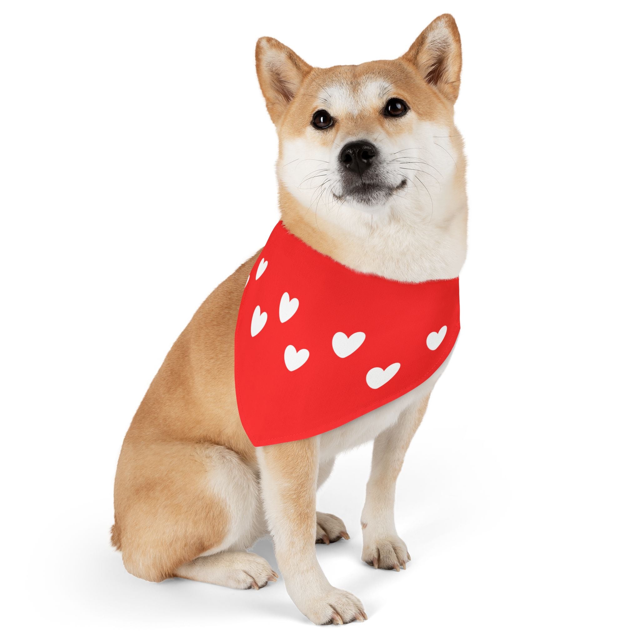 Pet Heart Bandana Collar